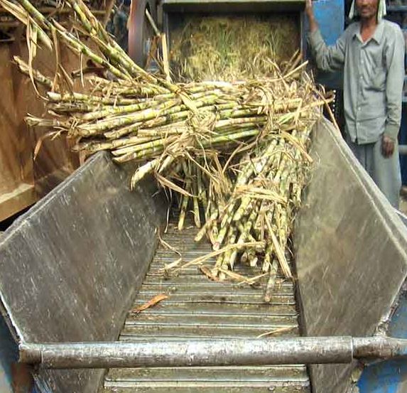 Kementan Dorong Produktivitas Pabrik Gula di Bone